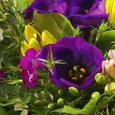 Seasonal Flower Basket